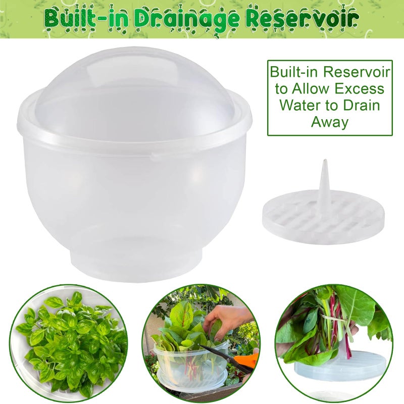 Home-X Lettuce Keeper - BPA-Free Lettuce Keeper for Refrigerator to Keep Salads and Vegetables Fresh - 7" x 8" Lettuce Crisper with Drainage Reservoir - Clear See-Through Vegetable and Fruit Crisper - Image 5